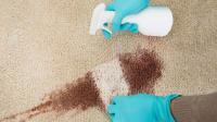 Carpet Cleaning Pros image 20